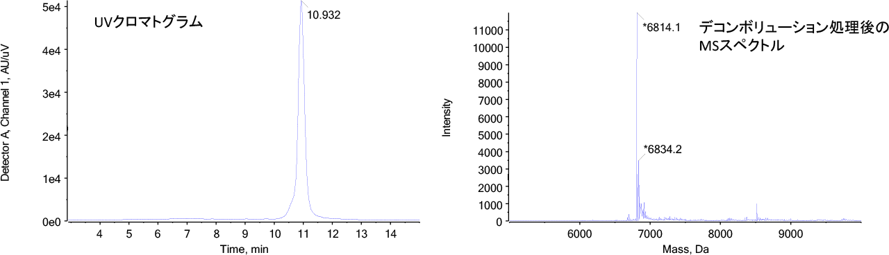 ODN1溶液のUVクロマトグラム及びデコンボリューション処理後のMSスペクトルグラフ