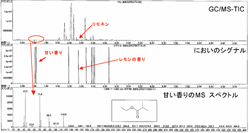 図1　スニッフィングGC／MS測定結果