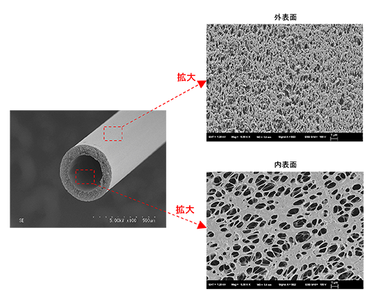図1.　樹脂製多孔質体の内外表面SEM像