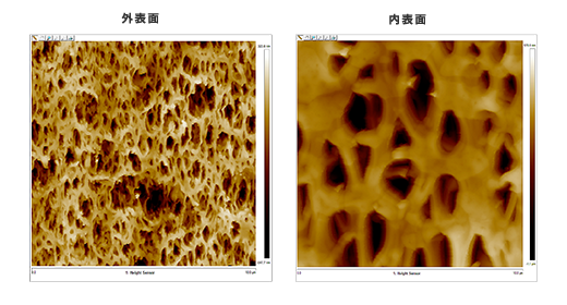 図2.　樹脂製多孔質体の内外表面形状像