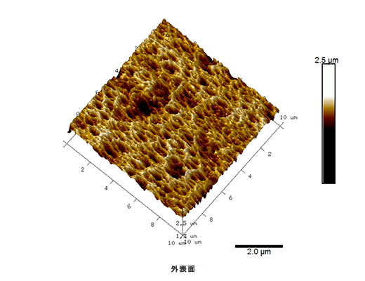 図3.　樹脂製多孔質体の内外表面三次元像