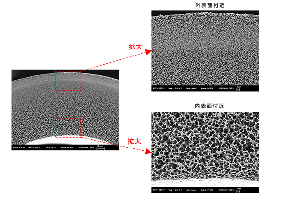 図2.　樹脂製多孔質体の冷却BIB加工断面SEM像