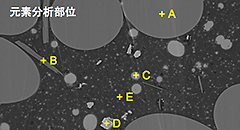 元素分析部位