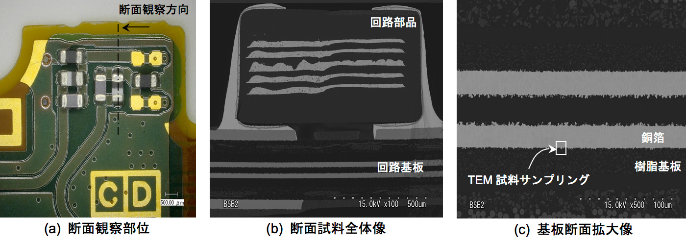 断面観察部位、断面試料全体像、基板断面拡大像