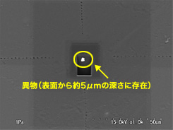 図2　SEM像