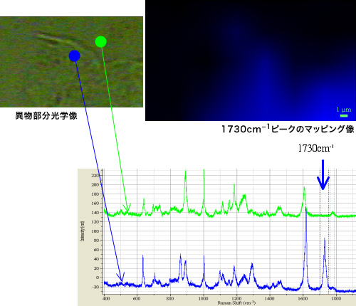 図1 PETの構造