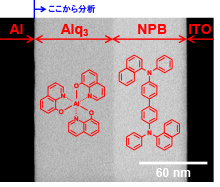 図1 有機ELデバイスの断面STEM像