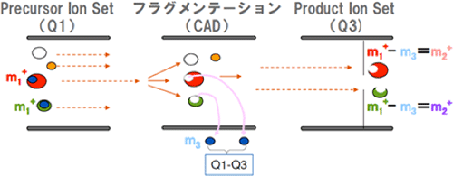 図1　Neutral loss scanのイメージ図