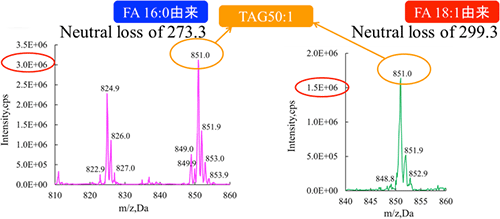 図2　Neutral loss scan測定結果