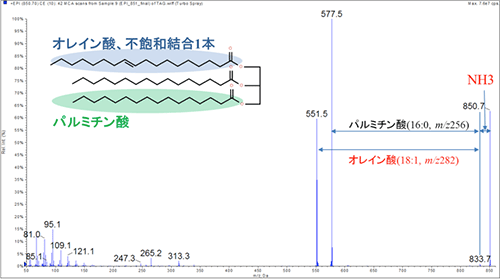 図3　TAG50:1のMS/MS測定結果