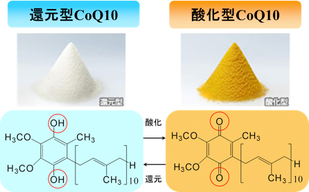 分析事例：還元型・酸化型CoQ10の定量分析 | カネカテクノリサーチ
