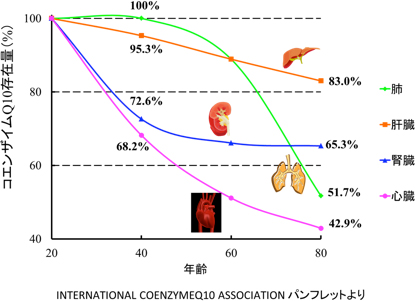 年齢と共に減っていくコエンザイムQ10