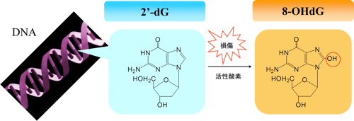 LC-MS/MS