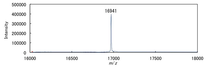 ミオグロビンの分子量（16941Da）