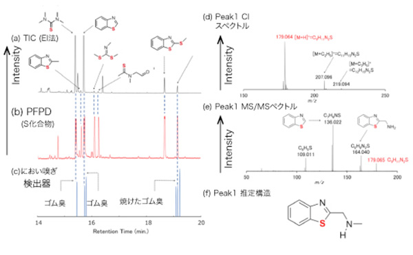 スニッフィングGC/Q-TOFMS・PFPD 測定結果 (a) TOFMS（EI法）、トータルイオンクロマトグラム(TIC)、(b) PFPDクロマトグラム、(c) におい嗅ぎ検出器のにおいシグナル、(d)Peak１ CIスペクトル、(e) Peak１ MS/MSスペクトル、(f) Peak1 推定構造