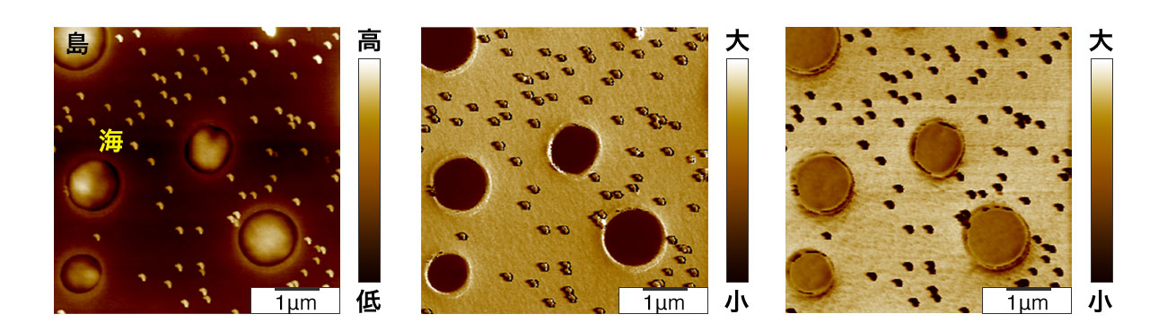 図2. PS／LDPE複合樹脂のSPM像（左：形状像、中：弾性率像、右：吸着力像）