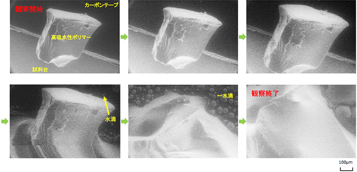 分析事例 高吸水性ポリマーの吸水過程のe Sem観察 カネカテクノリサーチ カネカグループの分析会社