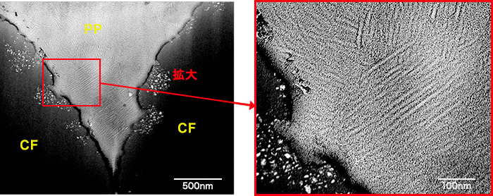 図1 CFRTPのTEM像