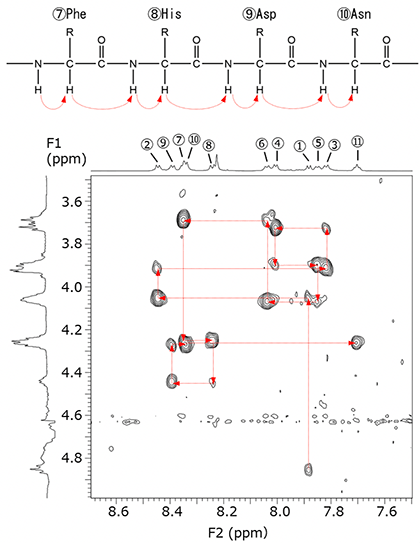 図3　バシトラシンAの骨格の一部（上段）と1H-1H ROESYスペクトル（下段）