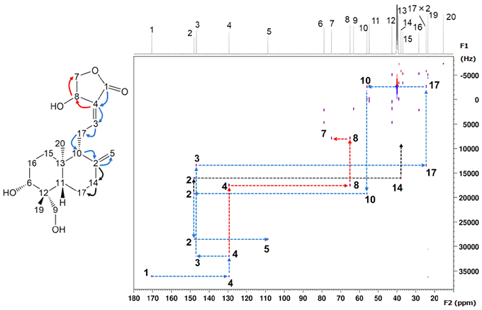 アンドログラホリド 13C-13C INADEQUATEスペクトル