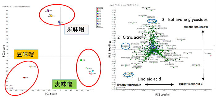 図1　味噌11種の主成分分析