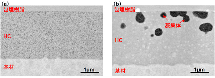 図2 HCのTEM 像