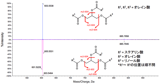 図3　なたね油から検出された成分のMS/MSスペクトル解析例