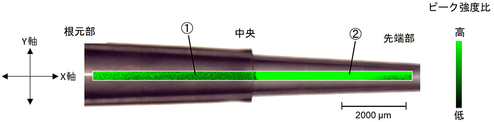 図1　ポリプロピレン製チップの光学像とラマンイメージ像の重ね合わせ