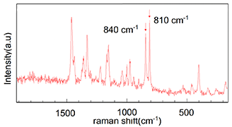 図２ 部位①のラマンスペクトル