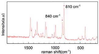 図３ 部位②のラマンスペクトル