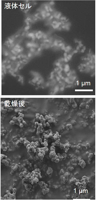 ②アルミナスラリーの画像