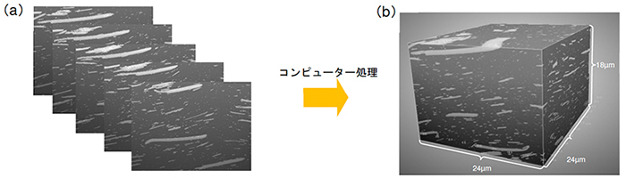 図2 FIB-SEMによる自動車用樹脂の3次元観察