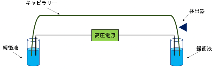 CE装置の概略図